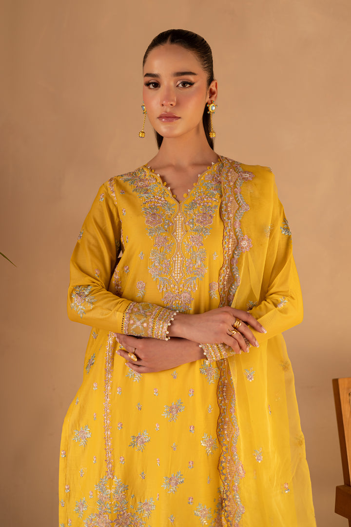 Aurelia 3Pc - Embroidered Luxe Pret