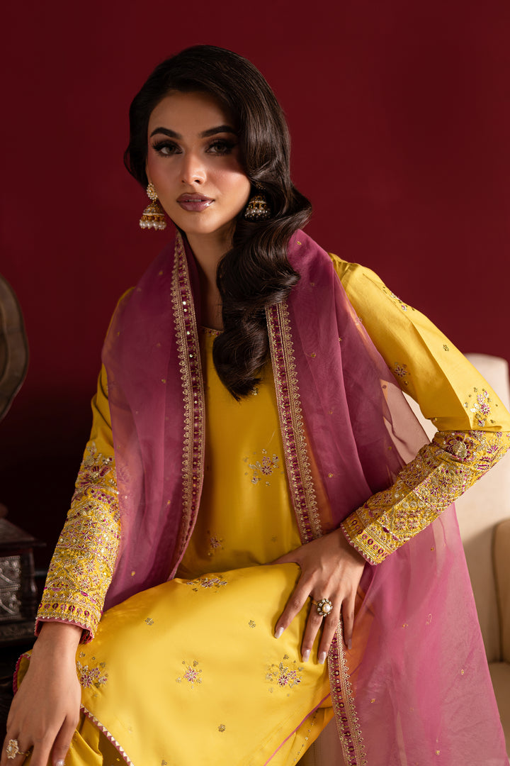 Sapna 3Pc- Festive Luxe Pret