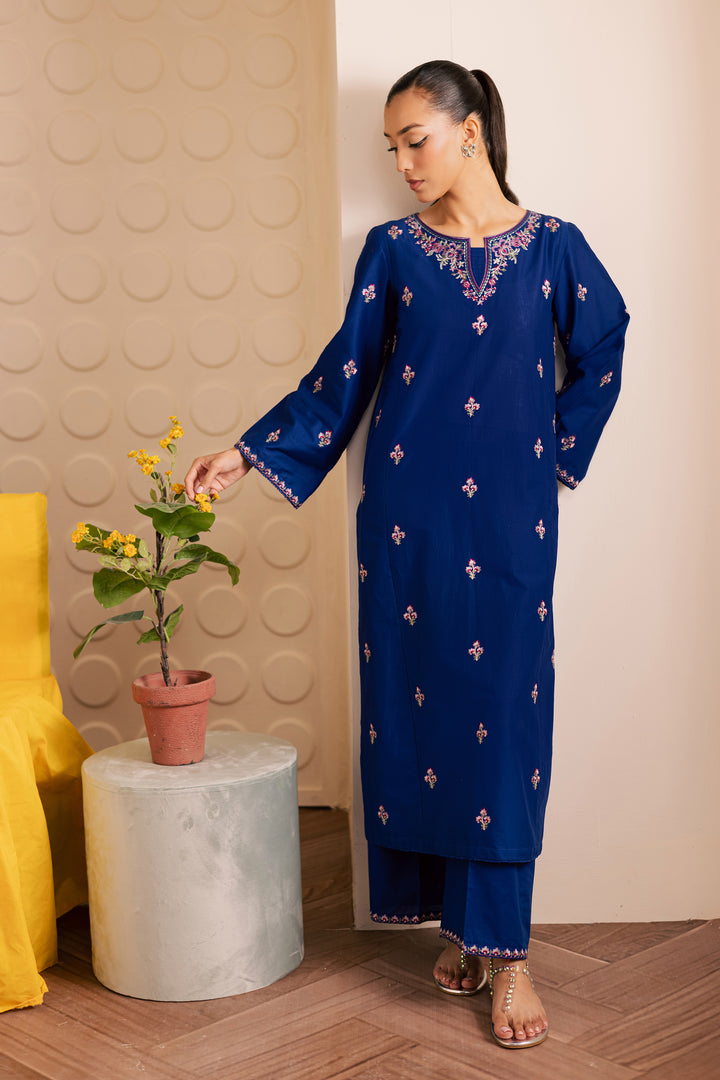 Blinky 2pc - Embroidered Lawn Pret