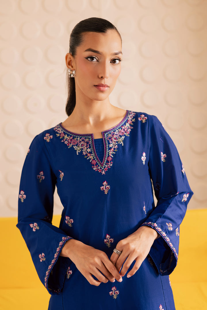 Blinky 2pc - Embroidered Lawn Pret