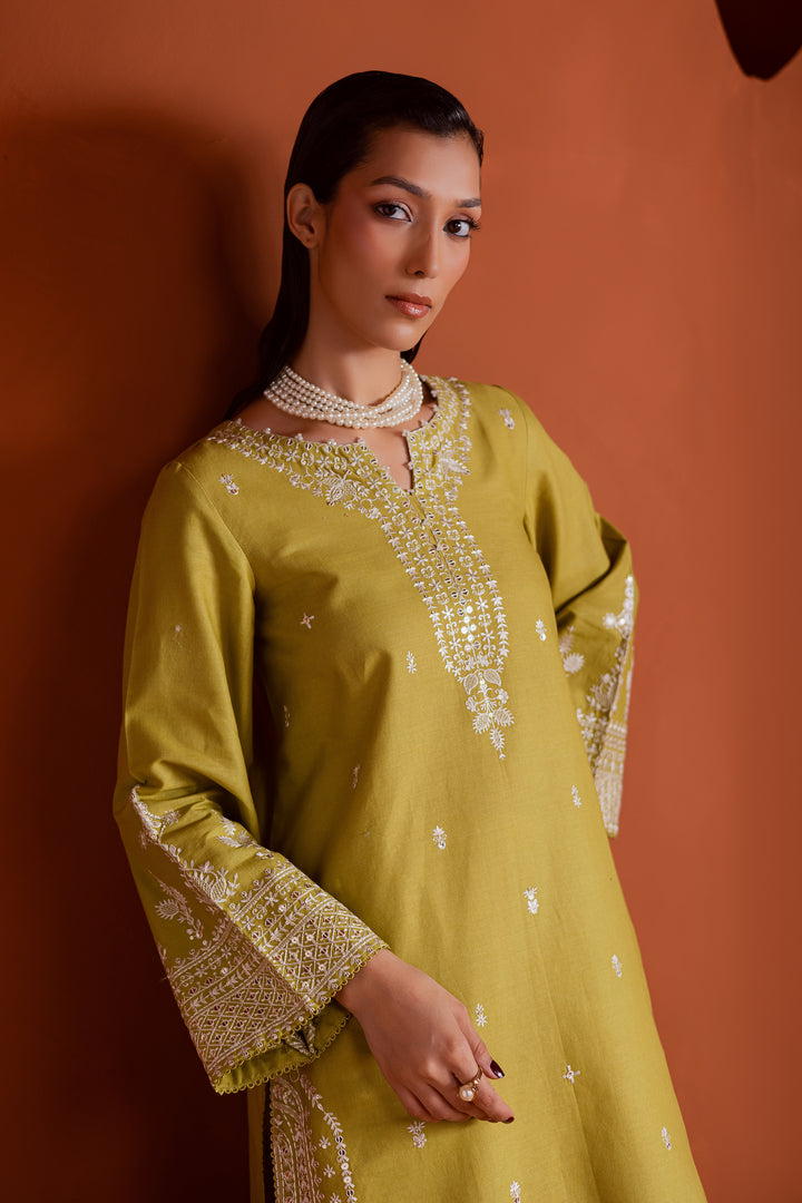 Affordable pear green khaddar dress featuring intricate embroidery and pearl accents, available with fast delivery across UAE and globally