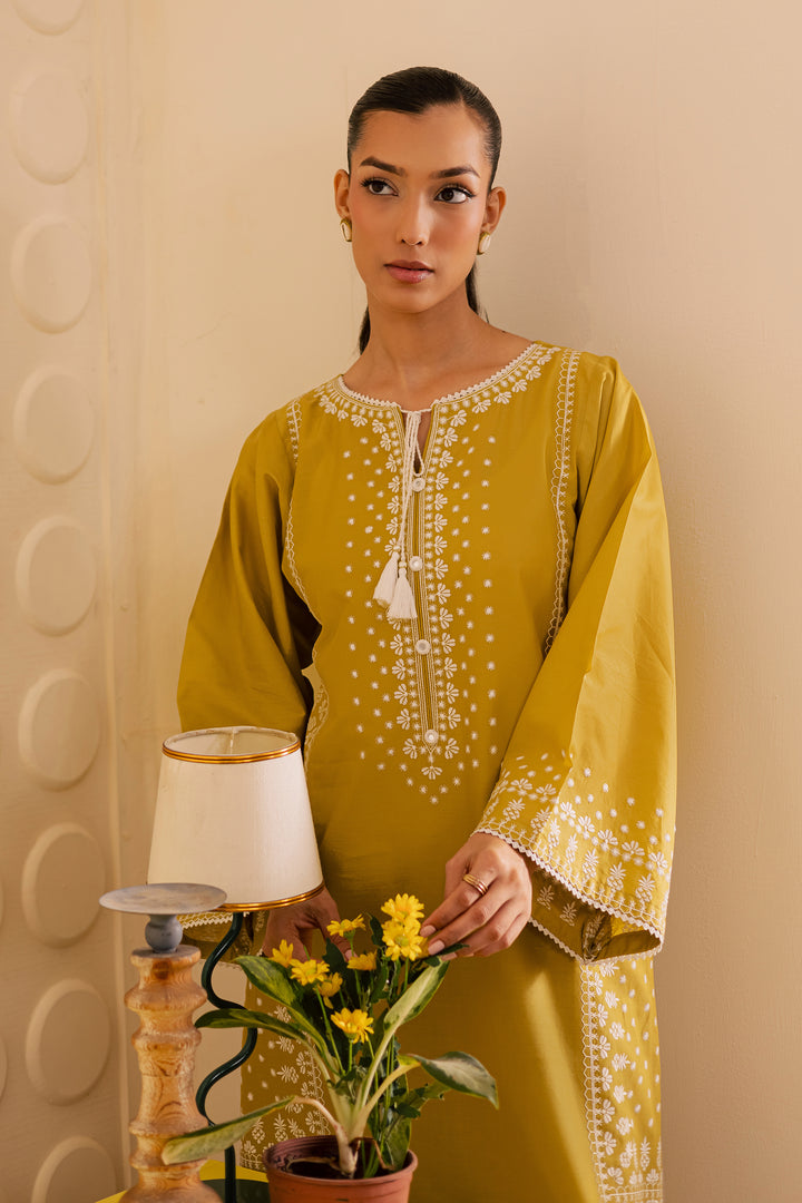 Tropical Tride 2Pc - Embroidered Lawn Pret