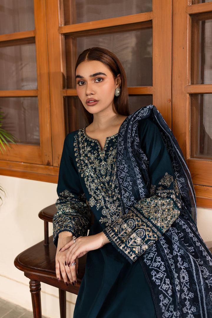 Amari 3Pc - Embroidered Khaddar Dress