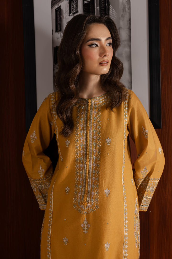 Sandy 2Pc - Embroidered Khaddar Dress