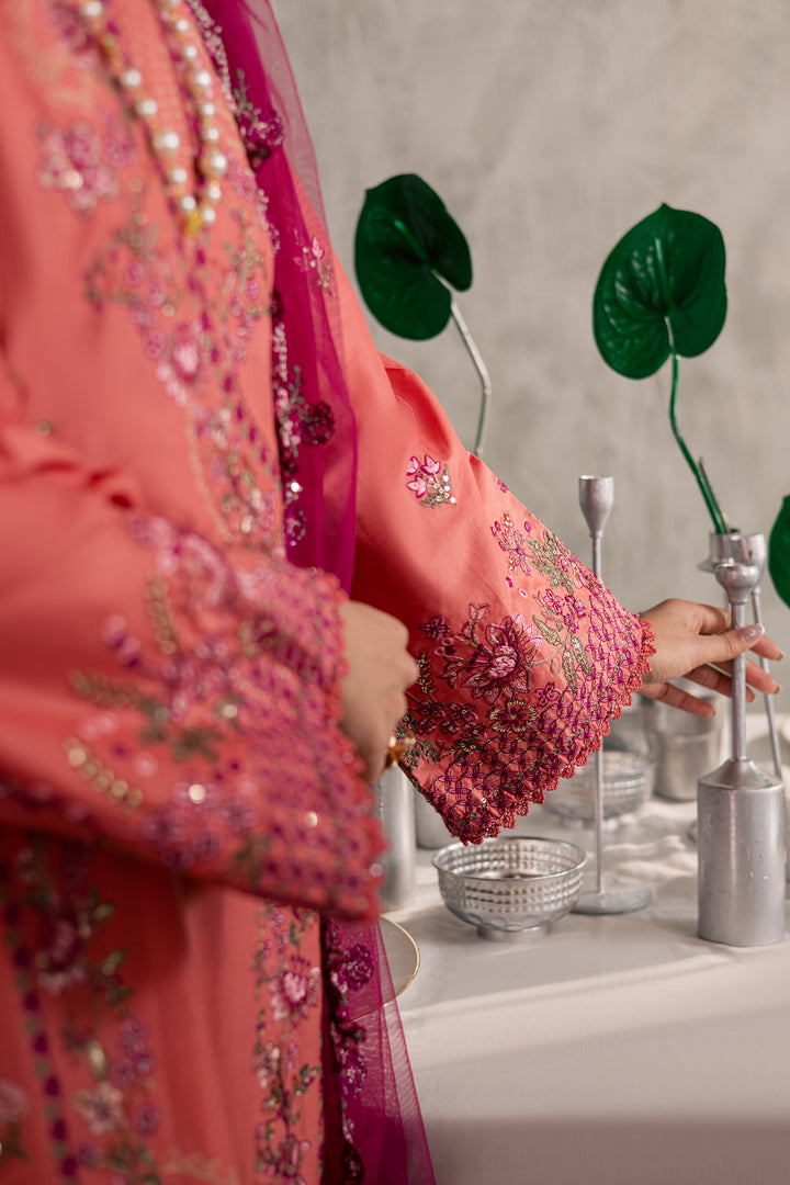 Rust Nazneen 3Pc - Festive Embroidered Lawn