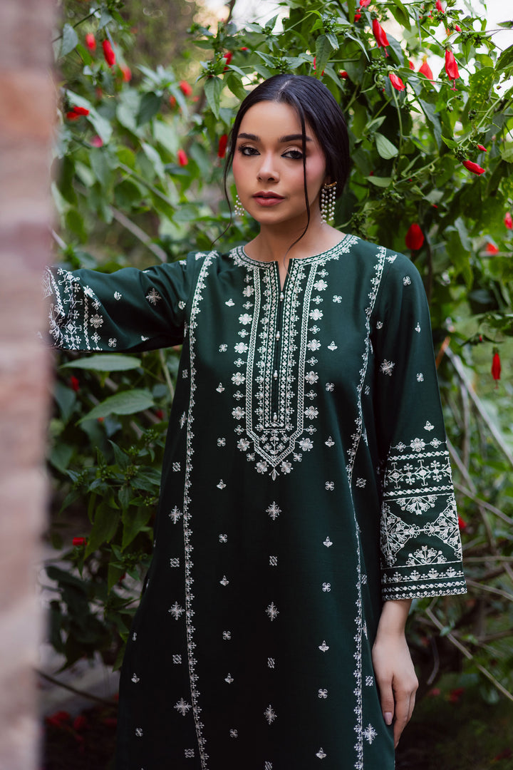 Rusty Green 2Pc - Embroidered Khaddar Dress