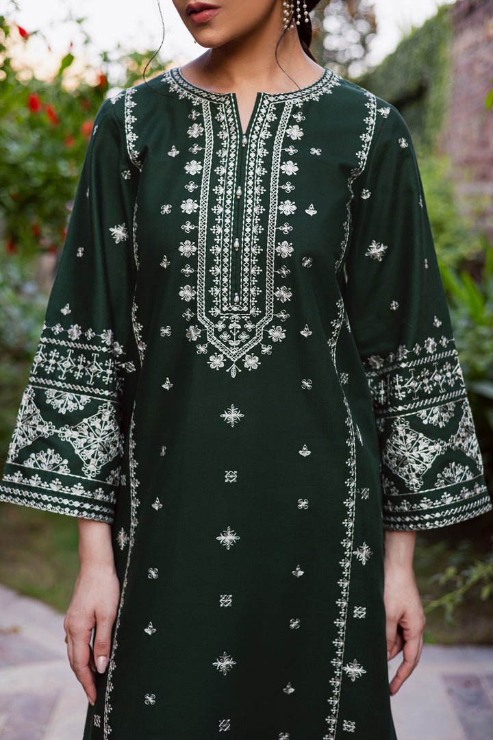 Rusty Green 2Pc - Embroidered Khaddar Dress