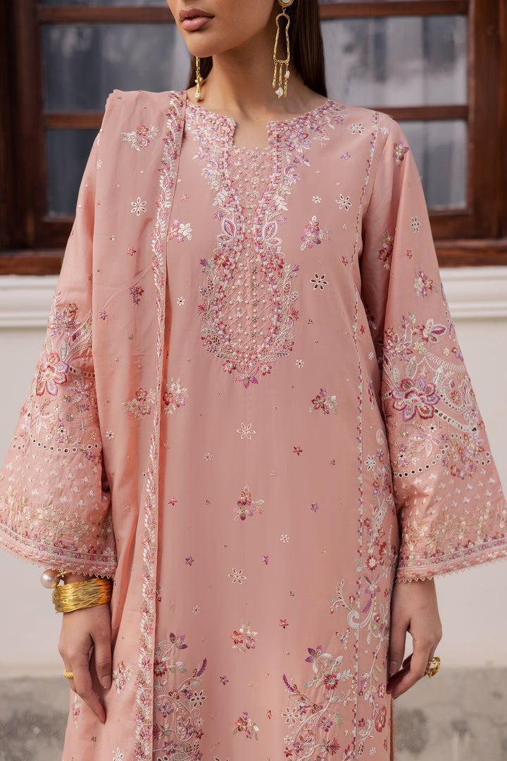 Peach Line 3Pc - Festive Embroidered Lawn