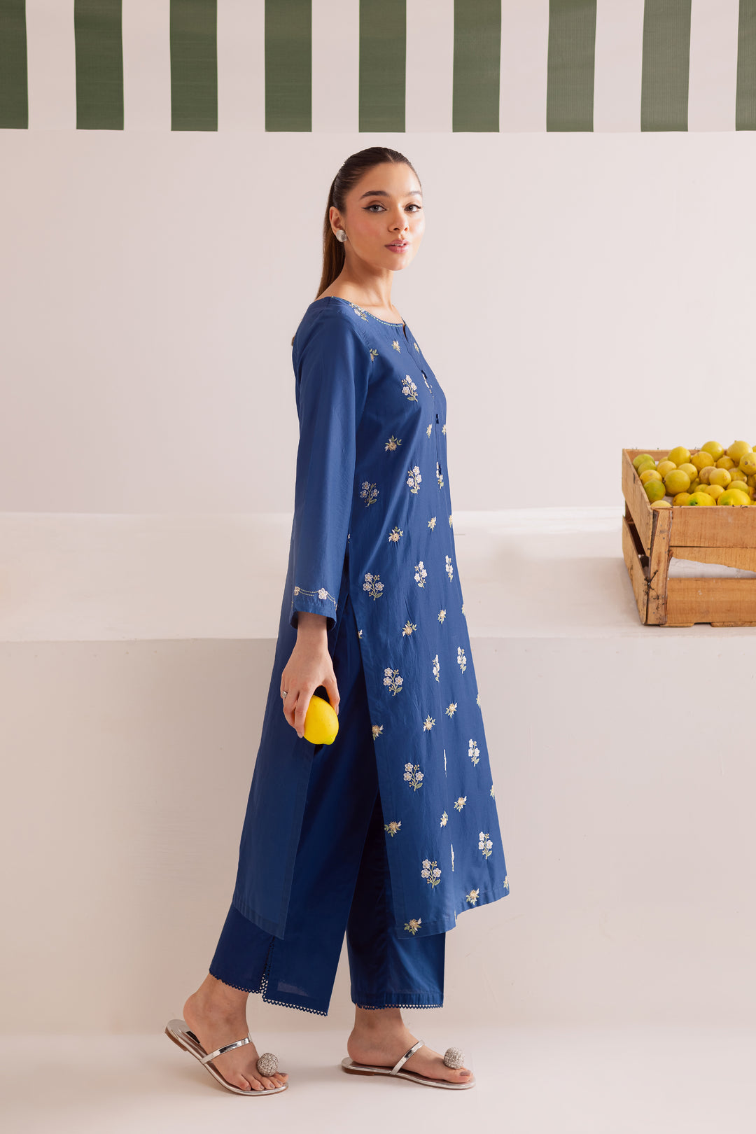 Buji Flies 2Pc - Embroidered Casual Pret