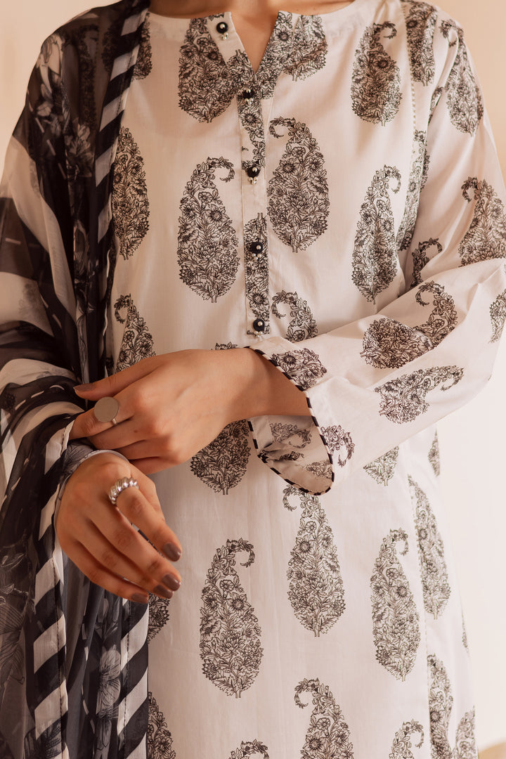 Kakashi 3Pc - Printed Lawn Dress