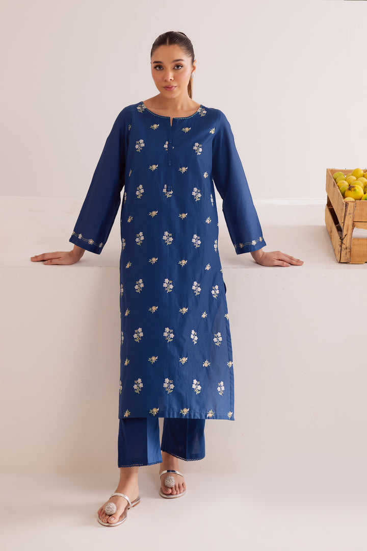 Buji Flies 2Pc - Embroidered Casual Pret