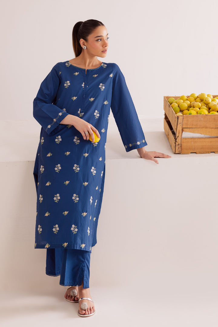 Buji Flies 2Pc - Embroidered Casual Pret