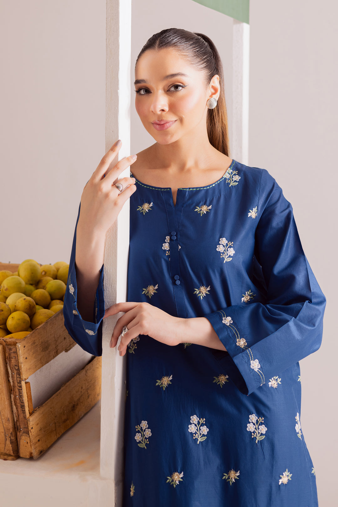 Buji Flies 2Pc - Embroidered Casual Pret