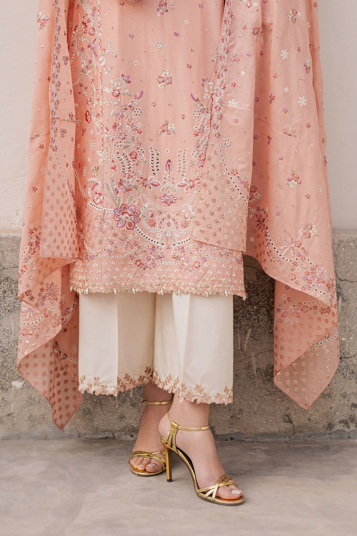 Peach Line 3Pc - Festive Embroidered Lawn