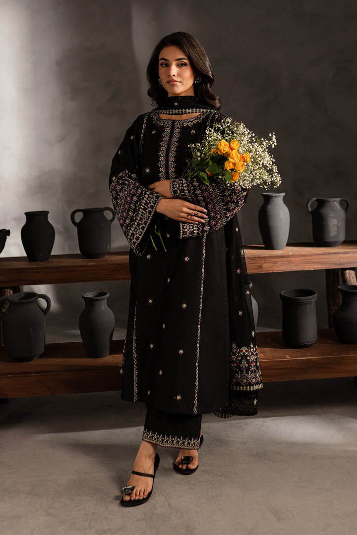 Mosaic 3Pc - Embroidered Karandi Dress