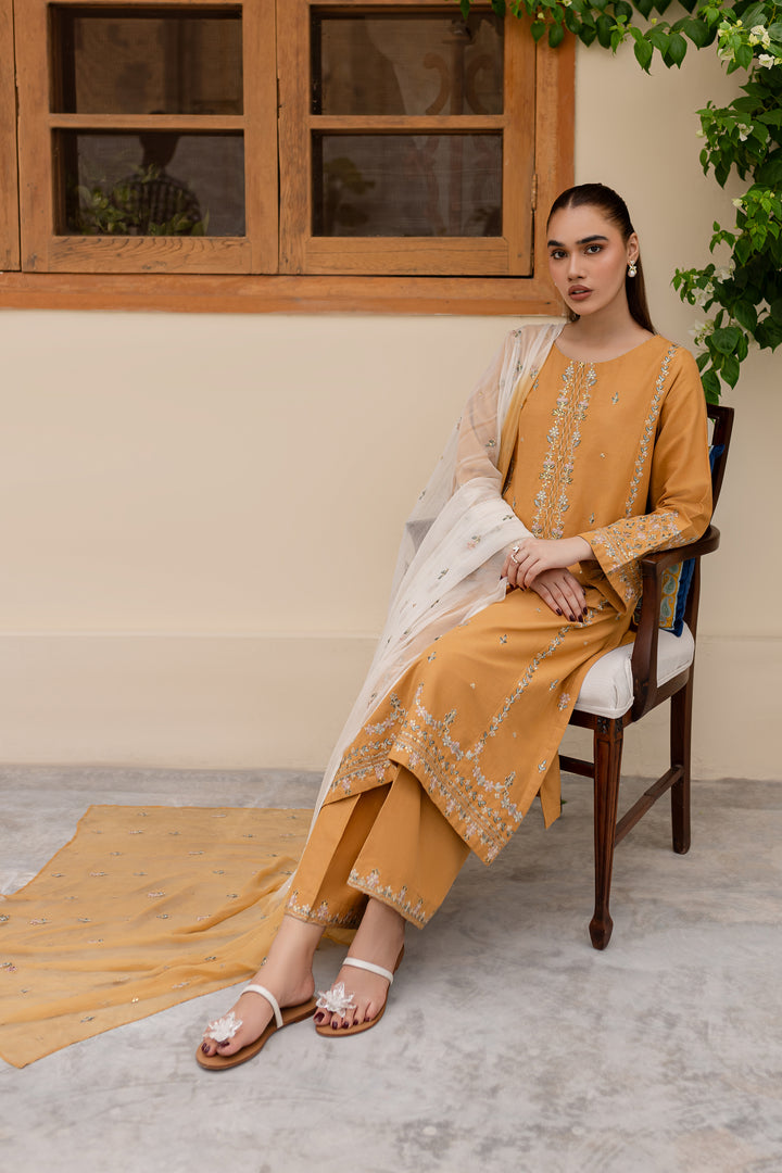 Erika 3Pc - Embroidered Khaddar Dress