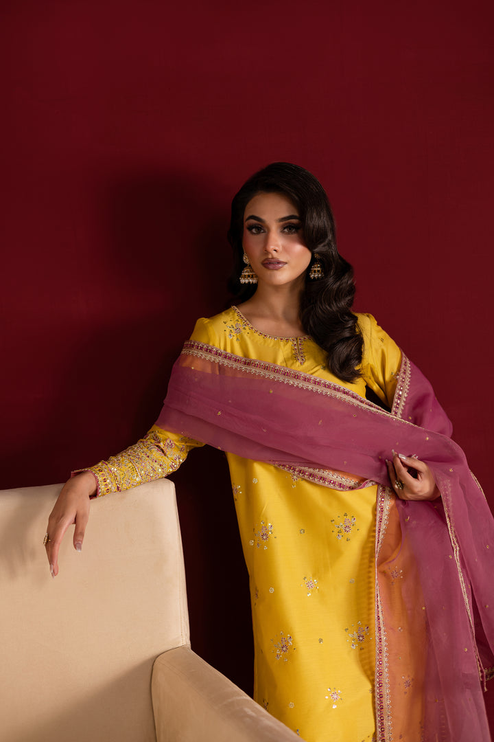 Sapna 3Pc- Festive Luxe Pret