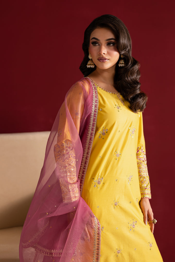 Sapna 3Pc- Festive Luxe Pret