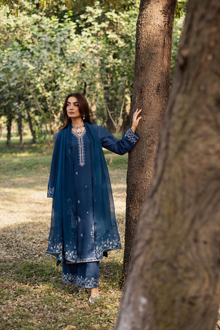Blue Amal 3Pc - Embroidered Khaddar Dress