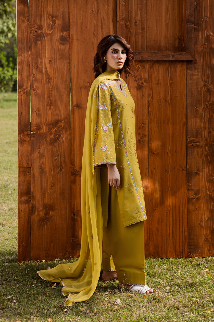 Julie 3Pc - Embroidered Khaddar Dress BATIK WINTER PRET 2025  BATIK   XS / Lemon Green / Khaddar-S / Lemon Green / Khaddar-M / Lemon Green / Khaddar-L / Lemon Green / Khaddar-XL / Lemon Green / Khaddar