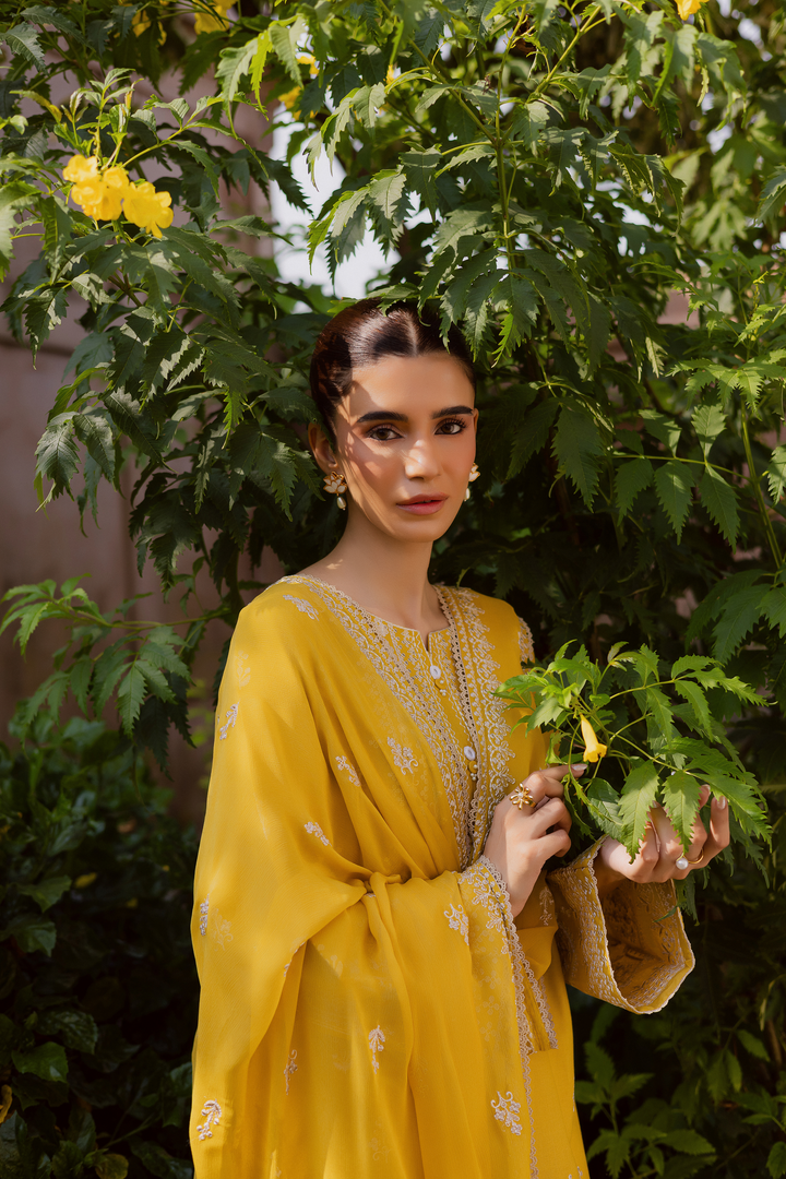  Lambo 3Pc - Embroidered Khaddar Dress BATIK WINTER PRET 2025  BATIK   XS / Lemon Yellow / Khaddar-S / Lemon Yellow / Khaddar-M / Lemon Yellow / Khaddar-L / Lemon Yellow / Khaddar-XL / Lemon Yellow / Khaddar