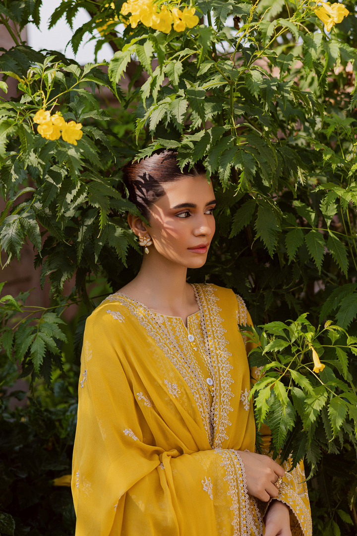  Lambo 3Pc - Embroidered Khaddar Dress BATIK WINTER PRET 2025  BATIK   XS / Lemon Yellow / Khaddar-S / Lemon Yellow / Khaddar-M / Lemon Yellow / Khaddar-L / Lemon Yellow / Khaddar-XL / Lemon Yellow / Khaddar