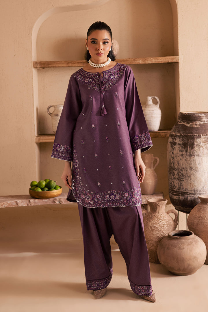 Meenah 2Pc - Embroidered Karandi Dress
