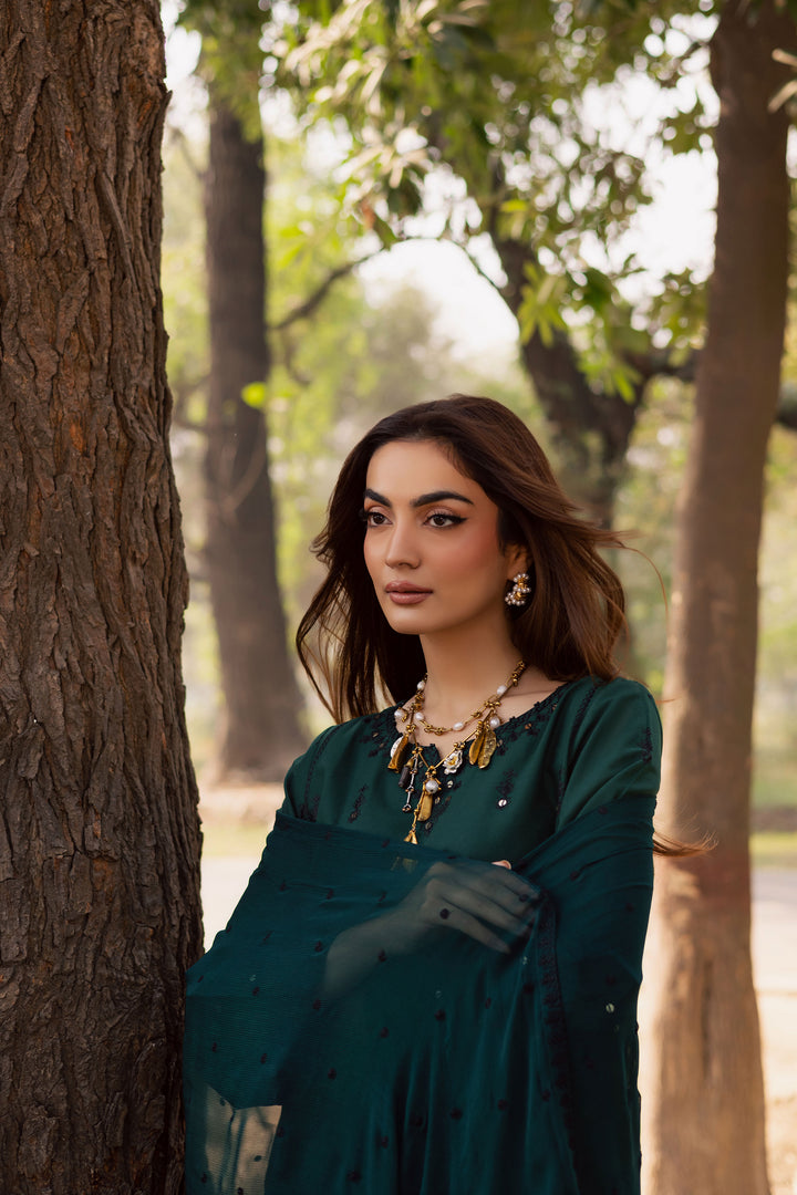 Sabz Meeraki 3Pc - Embroidered Khaddar Dress