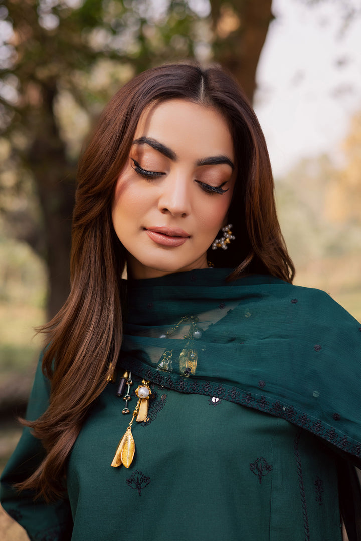 Sabz Meeraki 3Pc - Embroidered Khaddar Dress