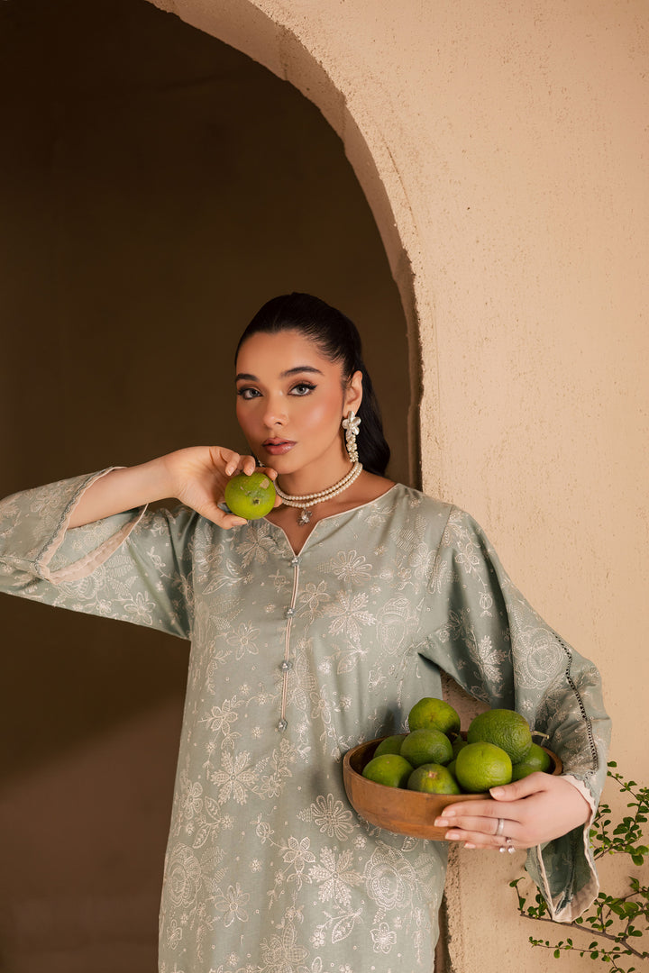 Snow Puff 2Pc - Embroidered Khaddar Dress
