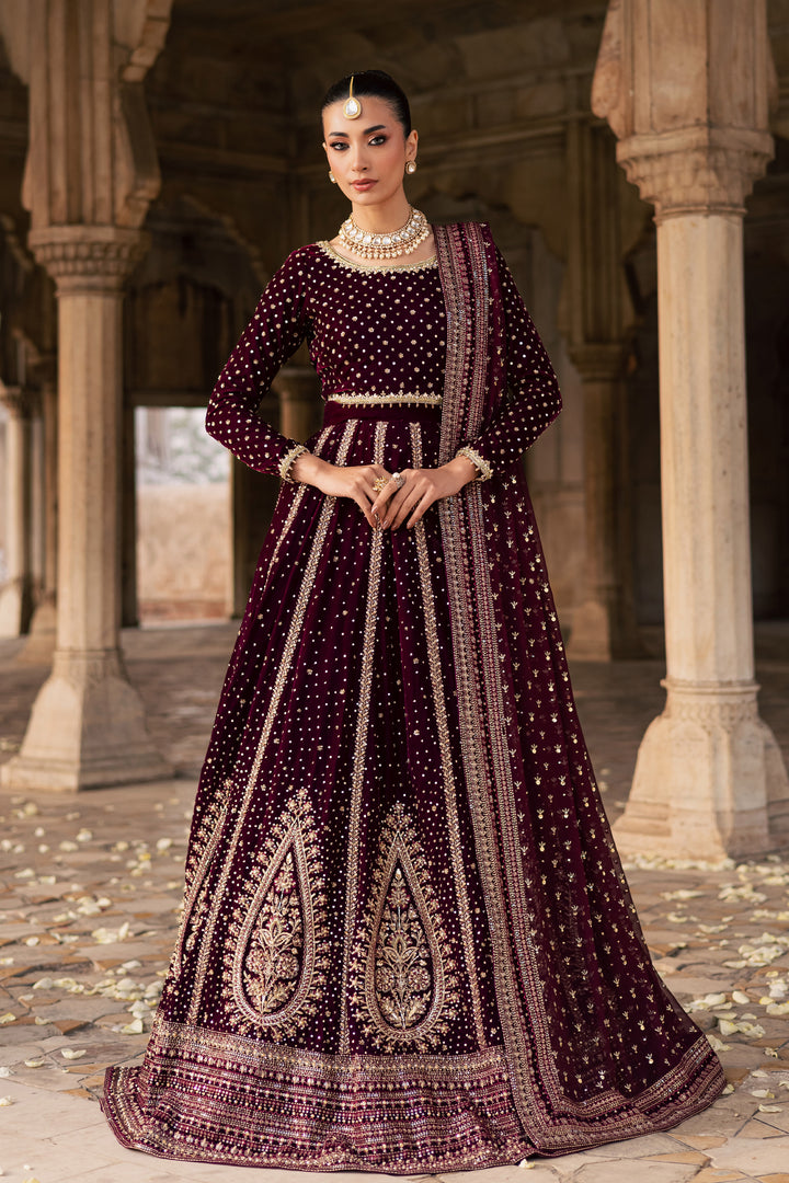 Aroos e Laal 3Pc - Bridal Dress