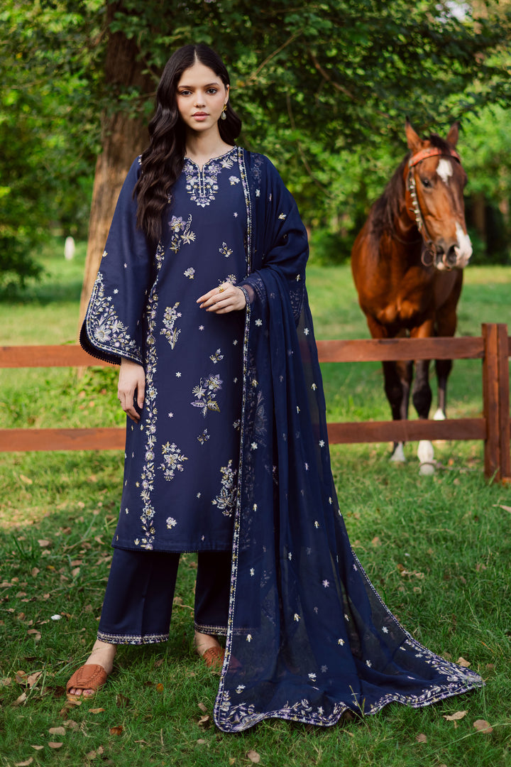 Blue Rush 3Pc - Embroidered Khaddar Dress