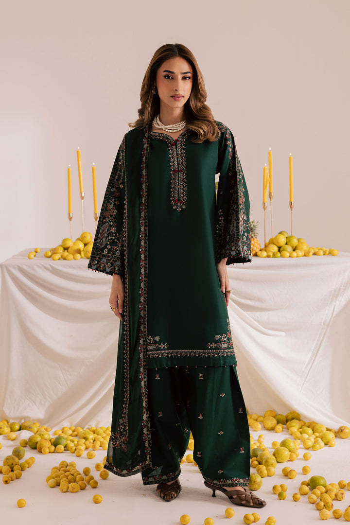 Cross Hatch 3Pc - Embroidered Khaddar Dress