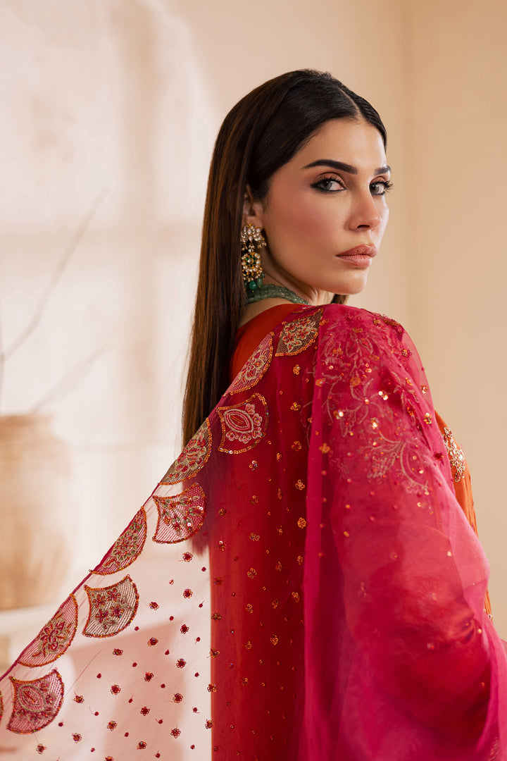 Noor e Gulnaar 3Pc - Embroidered Luxe Pret