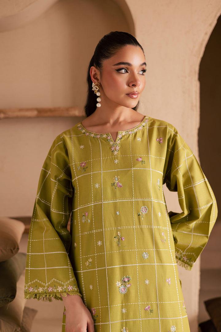 Pear Green 2Pc - Embroidered Khaddar Dress