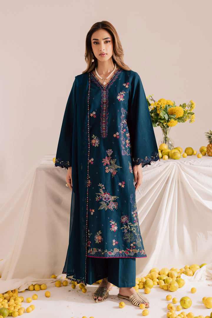Sea Mist 3Pc - Embroidered Khaddar Dress