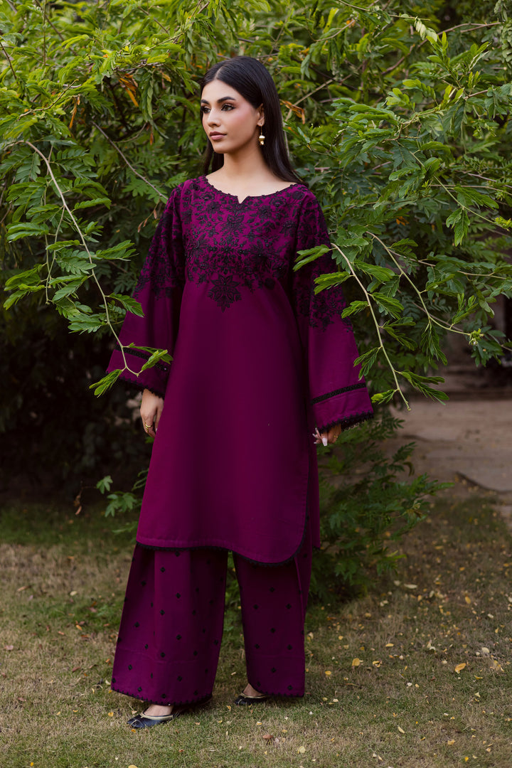 Pink Dipp 2Pc - Embroidered Khaddar Dress