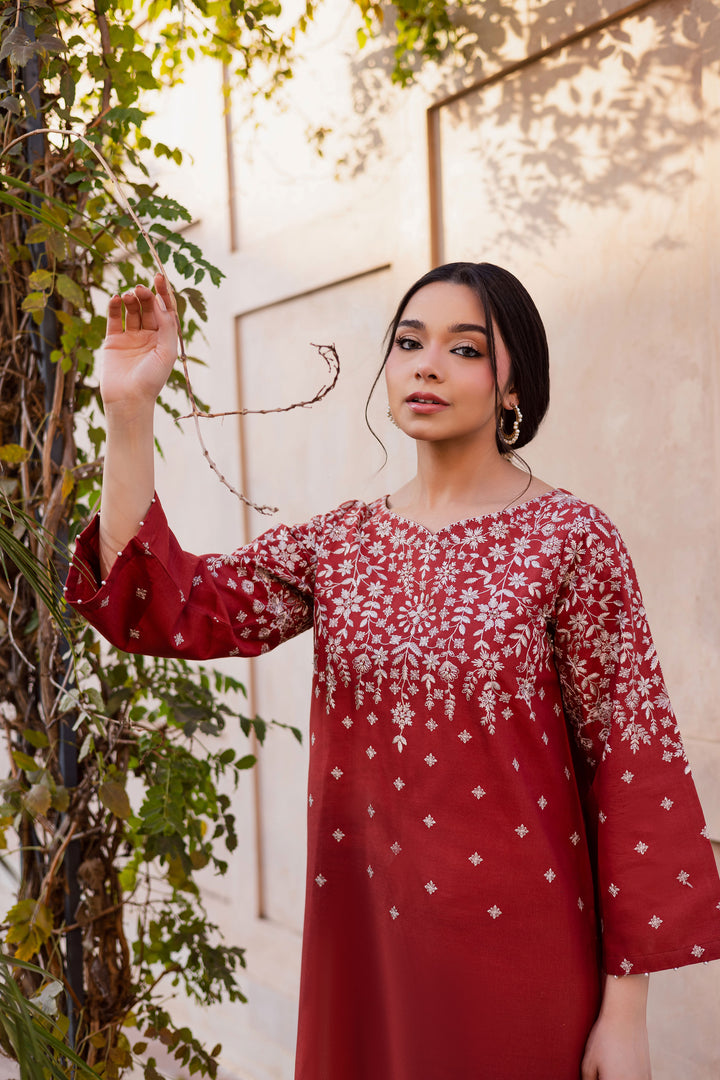 Jonem 2Pc - Embroidered Khaddar Dress