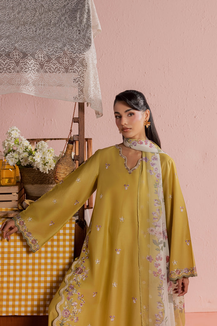 Lime Pop 3Pc - Embroidered Lawn Dress