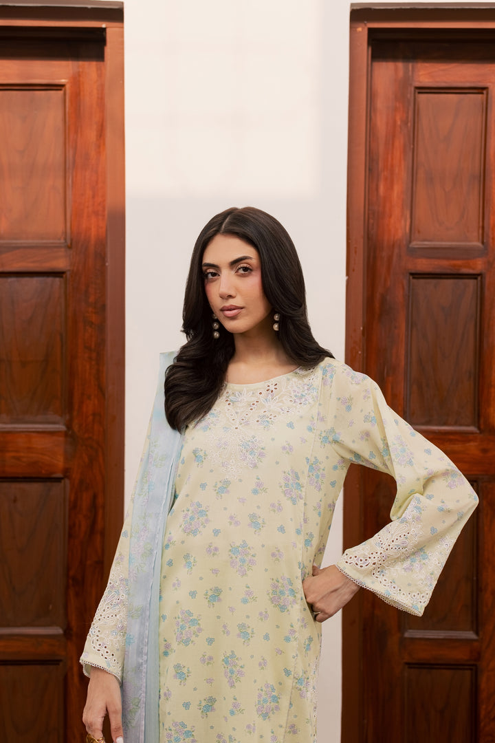 Armeen 3Pc - Printed Lawn Dress