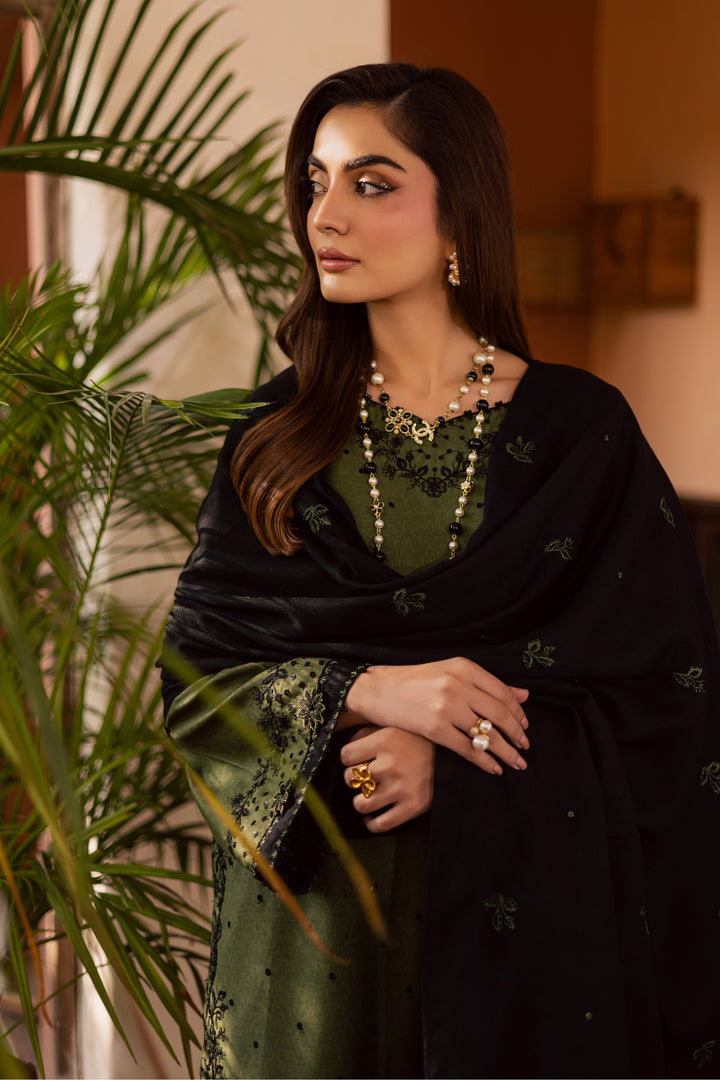 Record 3Pc - Embroidered Festive Pret