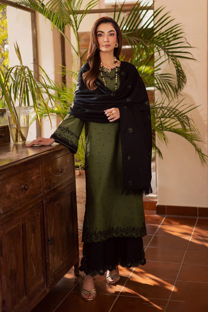 Record 3Pc - Embroidered Festive Pret