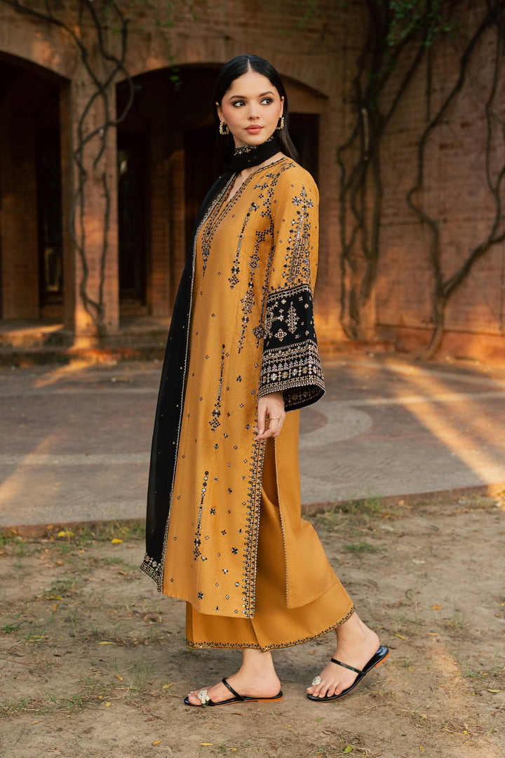 Arzina 3Pc - Embroidered Karandi Pret