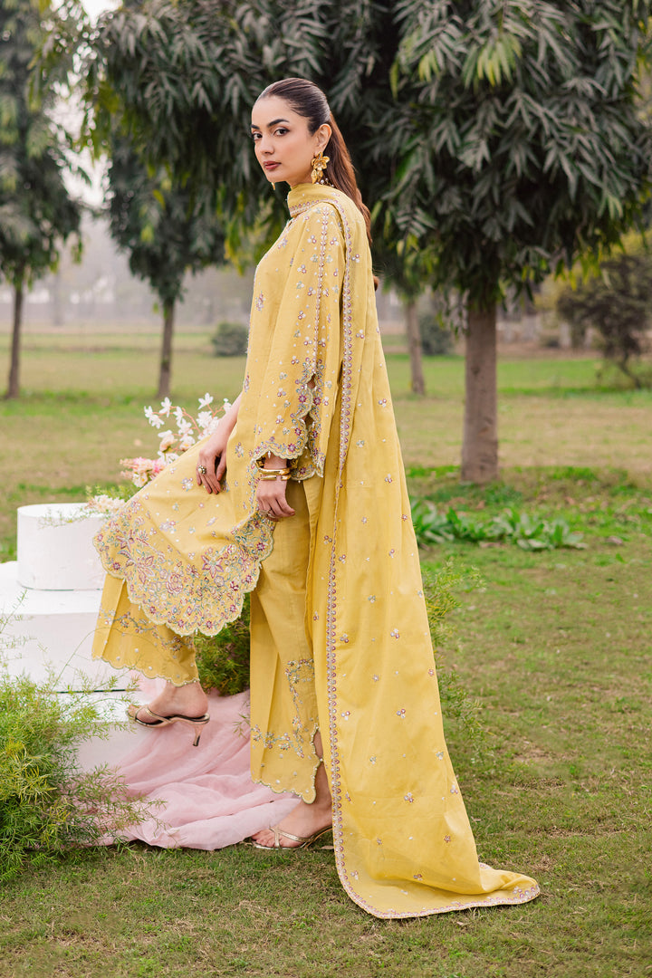 Salwah 3Pc - Festive Embroidered Lawn