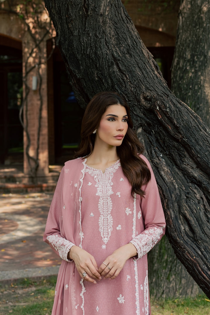 Calliope 3Pc - Embroidered Karandi Pret