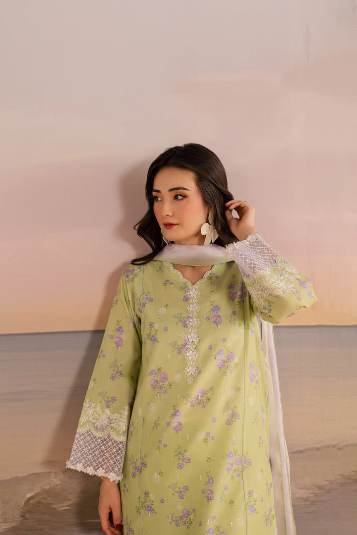 Rasp 3Pc - Printed Lawn Dress