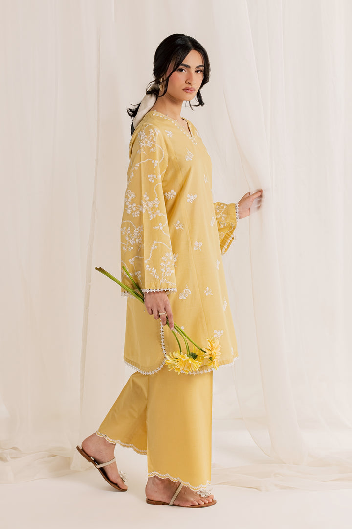 Aamish 2Pc - Embroidered Lawn Dress