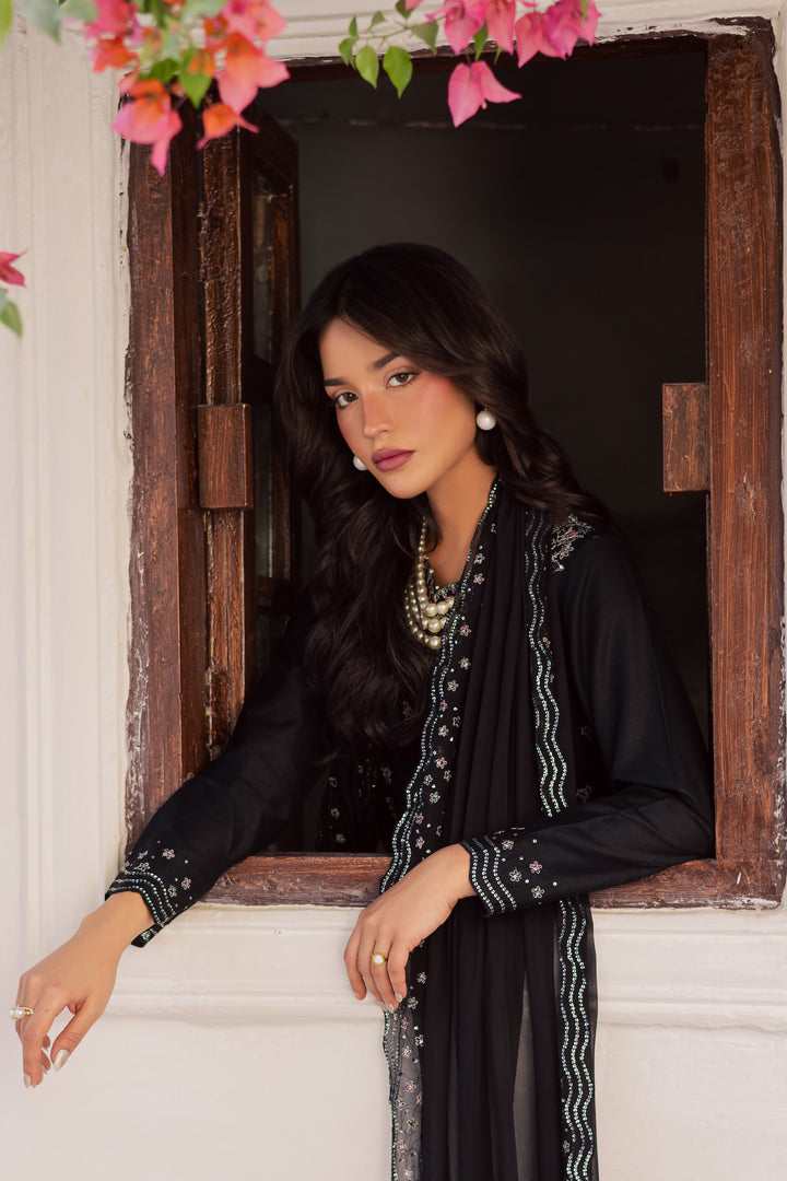 Black Mastani 3Pc - Embroidered Karandi Dress