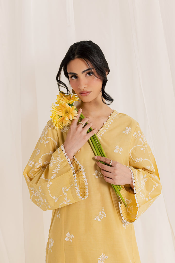 Aamish 2Pc - Embroidered Lawn Dress