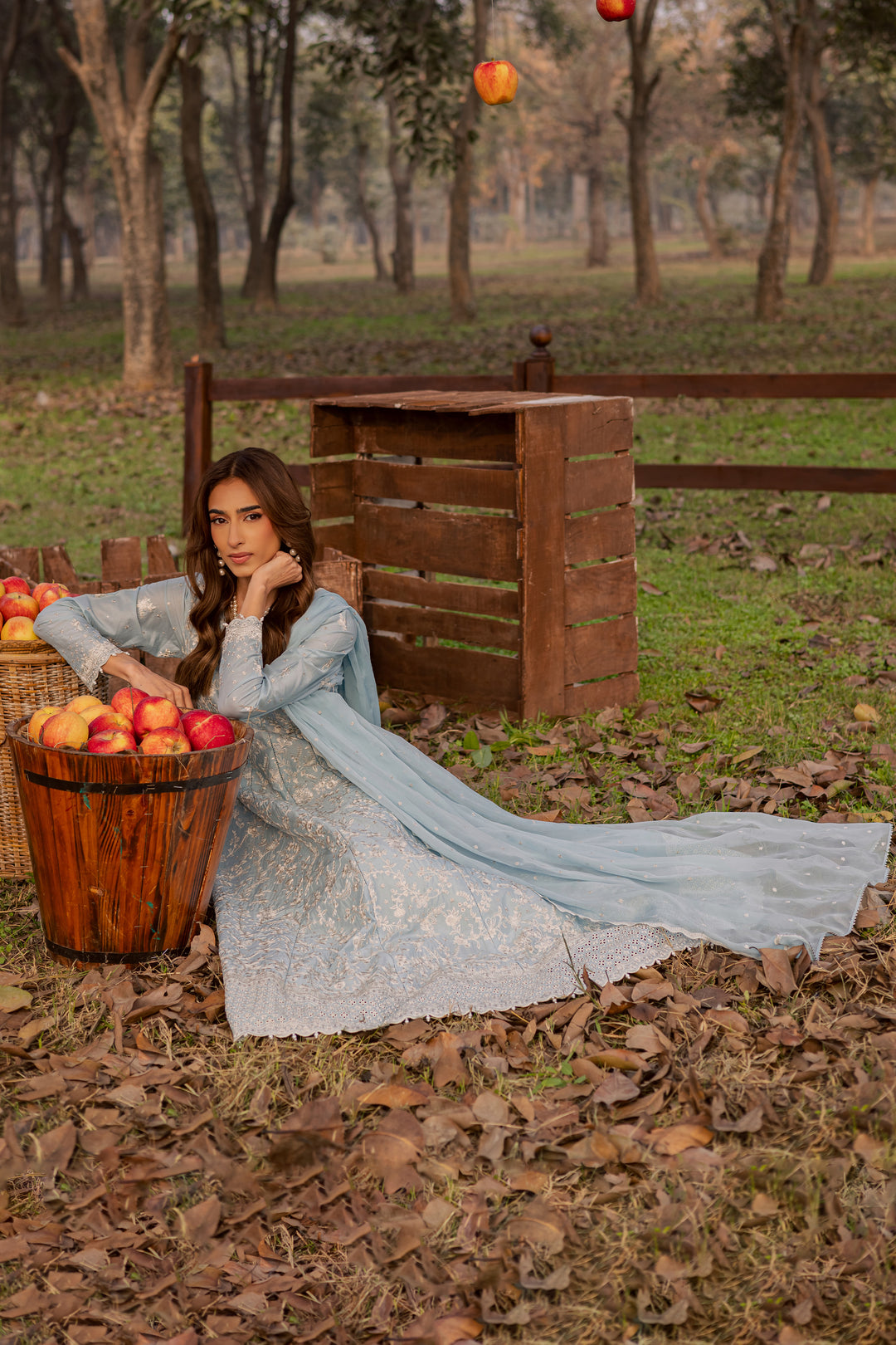 Nur Ray 3Pc - Festive Embroidered Lawn